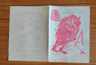 Хоккей. Программка Аэрофлот Омск - Сибирь Новосибирск 1962