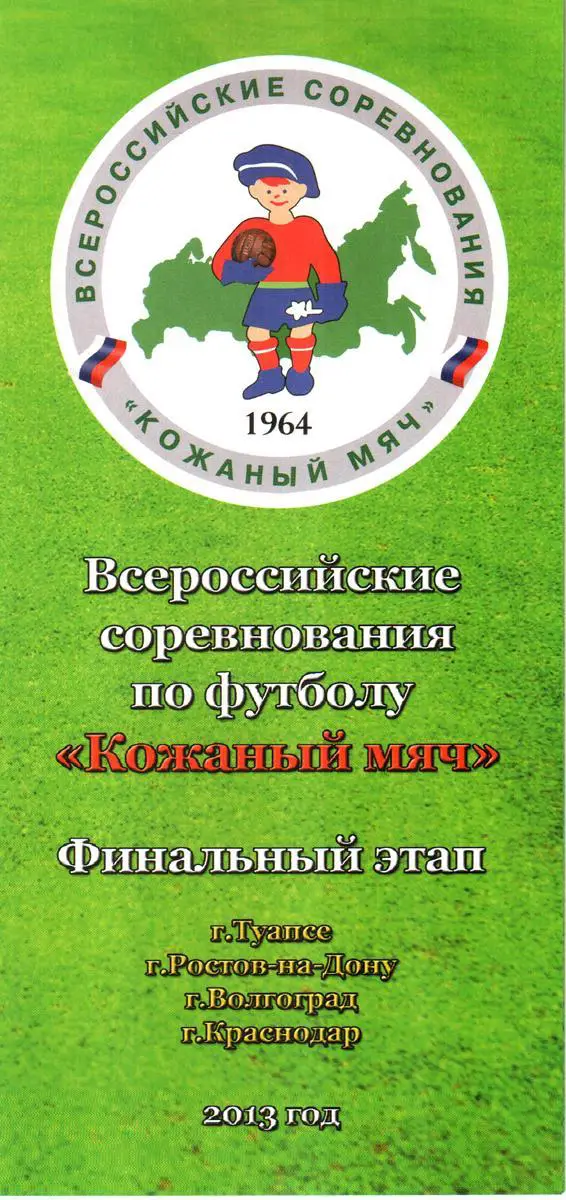 Кожаный мяч 2013