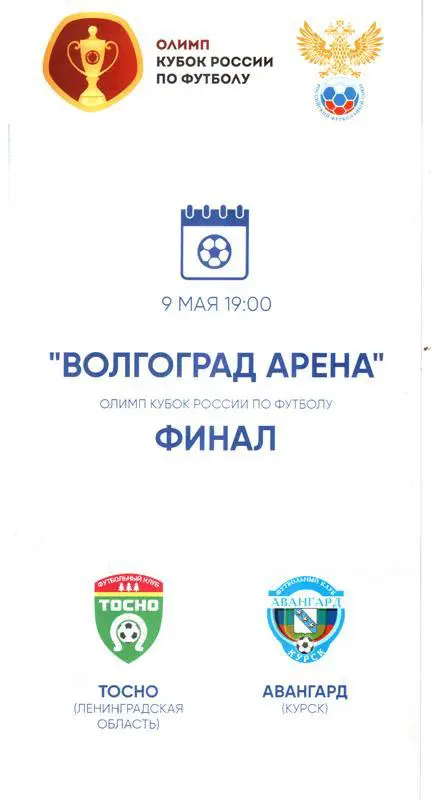 Тосно - Авангард (Курск). Кубок России. Финал. 2018.