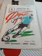 Амур Благовещенск - Факел Тюмень - 1982