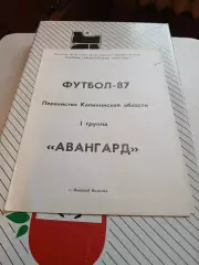 Авангард Вышний Волочек программа матчей 1987