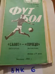 Салют Белгород - Торпедо Волжский - 1983 Кубок РСФСР