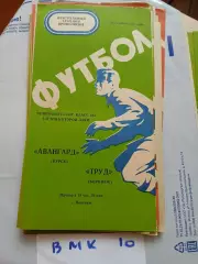 Труд Воронеж - Авангард Курск 1976