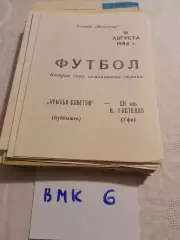 Крылья Советов Куйбышев - СК им. Н. Гастелло Уфа .1984