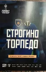 Строгино Москва - Торпедо Владимир 2026 Кубок