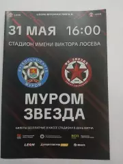 ФК Муром Владимирская область - Звезда Санкт-Петербург 2026
