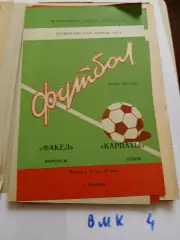 Факел Воронеж - Карпаты Львов 1981