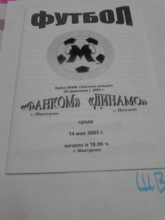 Фанком Мантурово - Динамо Петушки 2003 КУБОК МФФ Золотое кольцо