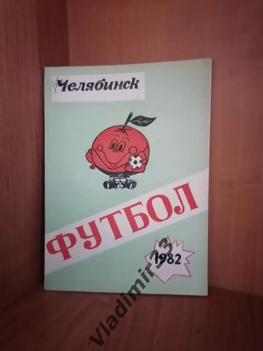 Челябинск 1982