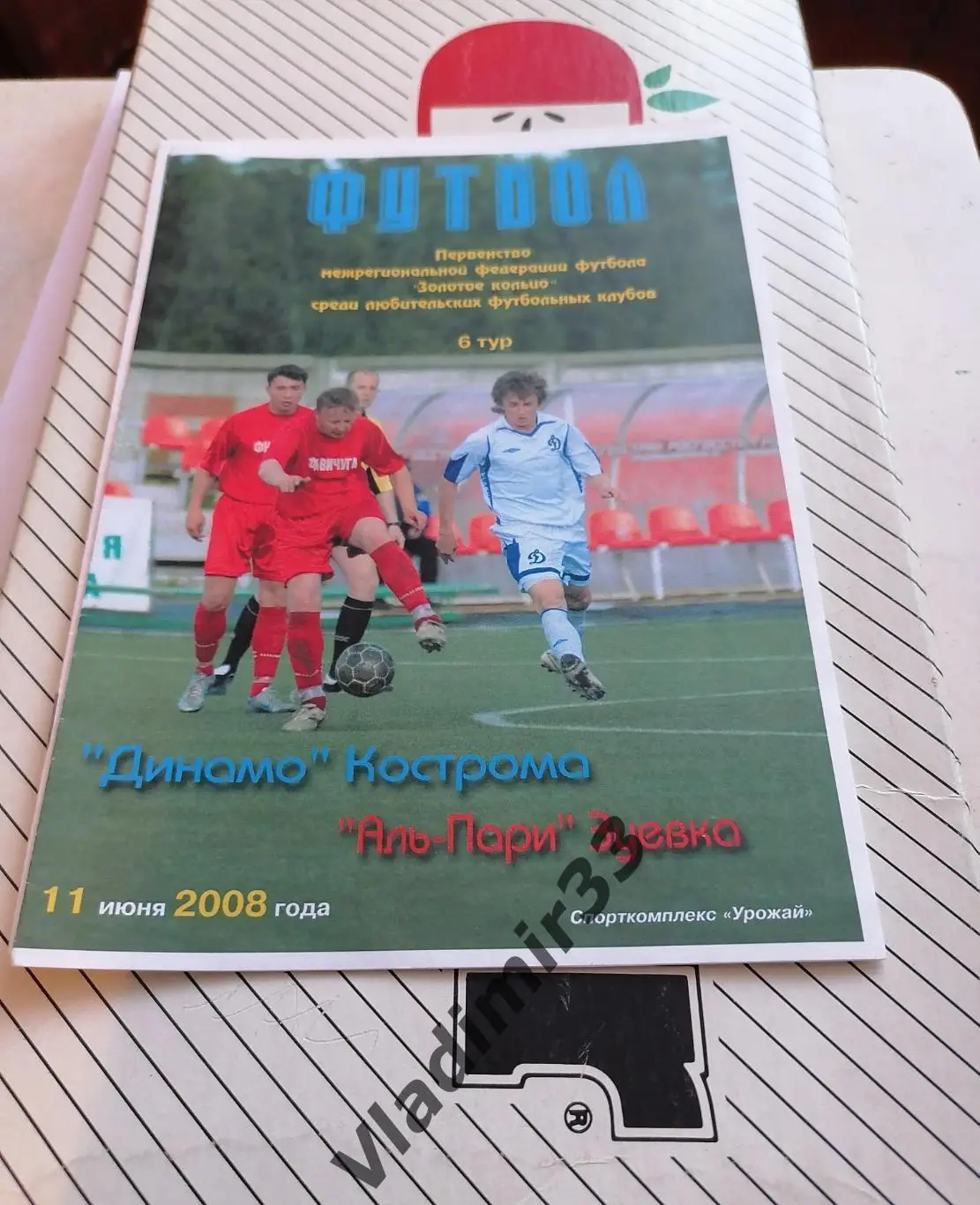 Динамо Кострома - Аль-Пари Зуевка Кировская область 2008
