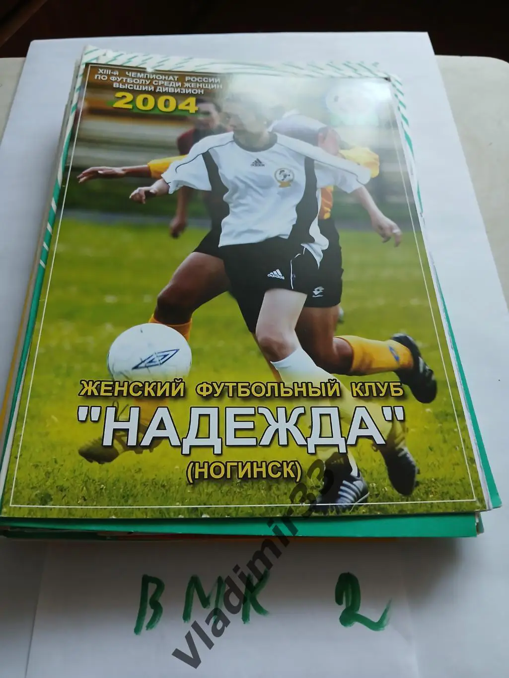 Надежда Ногинск - Россиянка Московская область 12 июня 2004