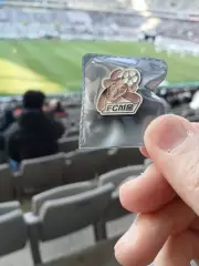 ФК Сеул, Корея оригинальный знак