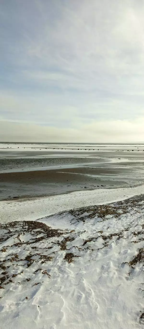 Кусок соли красивый(озеро Баскунчак) 7