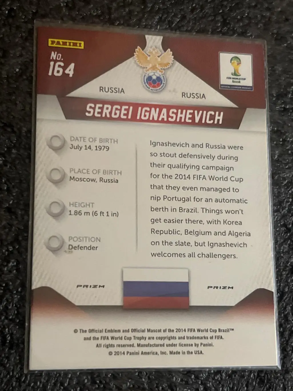 Сергей Игнашевич, Россия 1