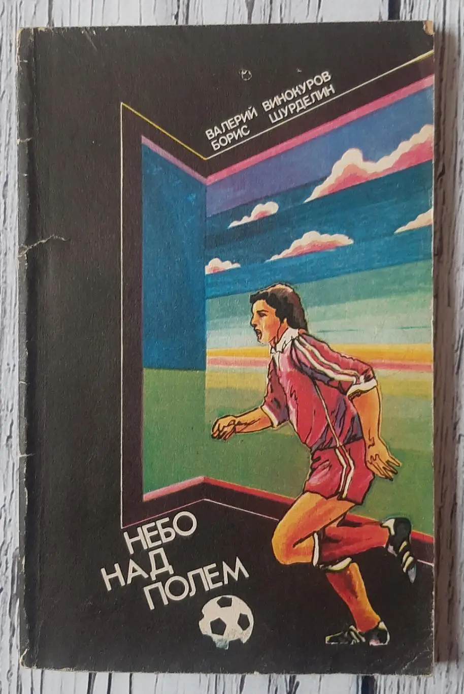 Винокуров - Небо над полем