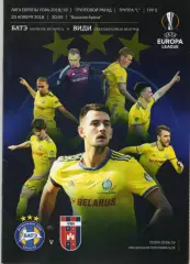 БАТЭ (Беларусь) - Види (Венгрия) 29.11.2018