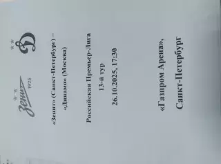 Зенит - Динамо Москва 26.10.2025, авторский вид