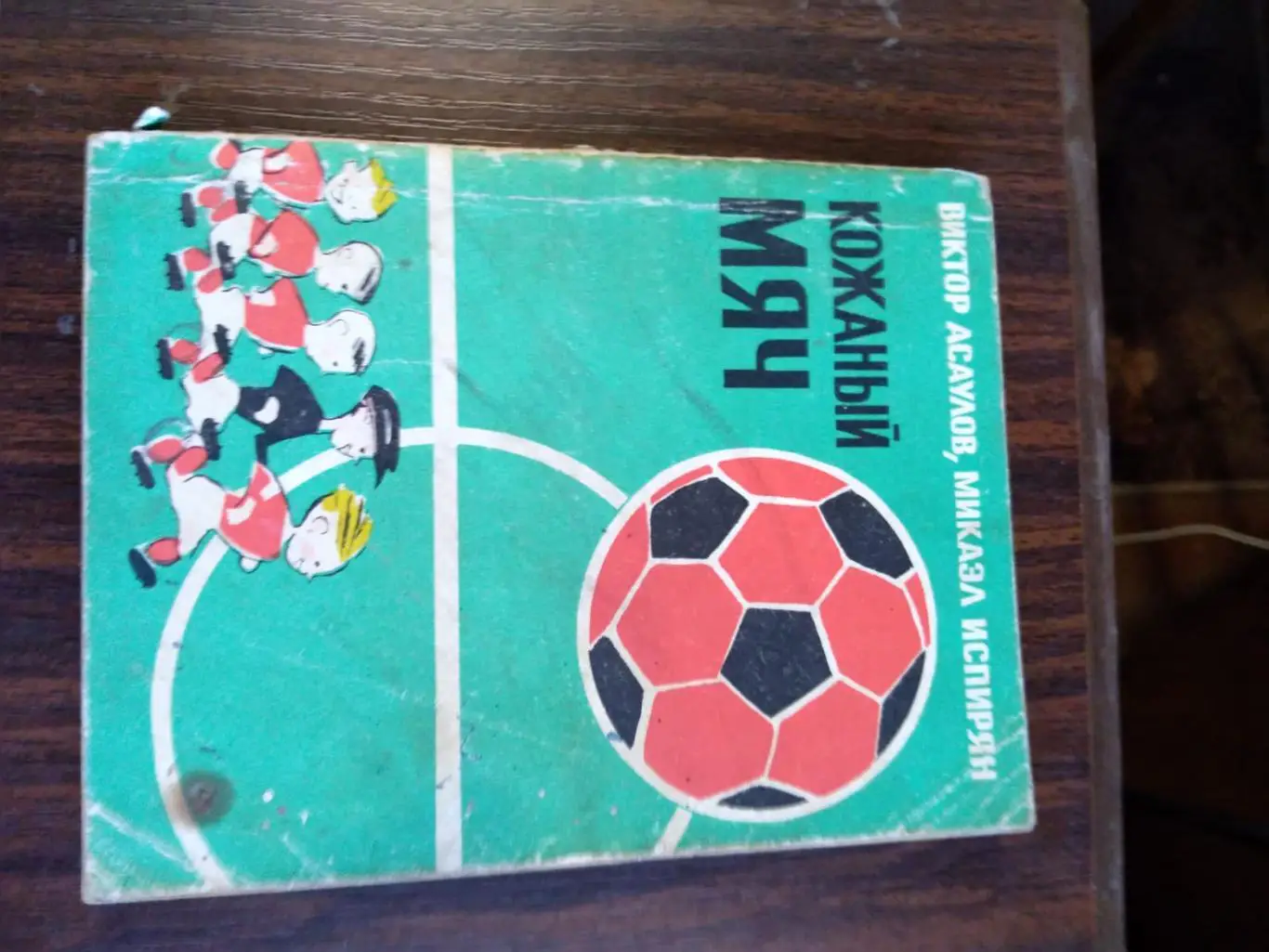 Кожаный мяч