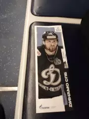 Динамо СПб - Норильск, Сокол Кр, Металлург Нк, Динамо-Алтай 28.11-04.12.2025