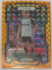 Карточка Тимоти Кастань Фулхэм