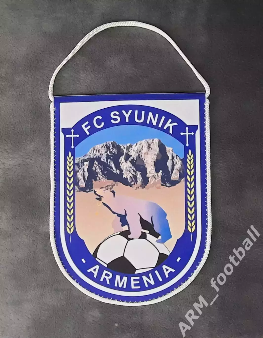 Oфициальный клубный вымпел Cюник Kапан Армения