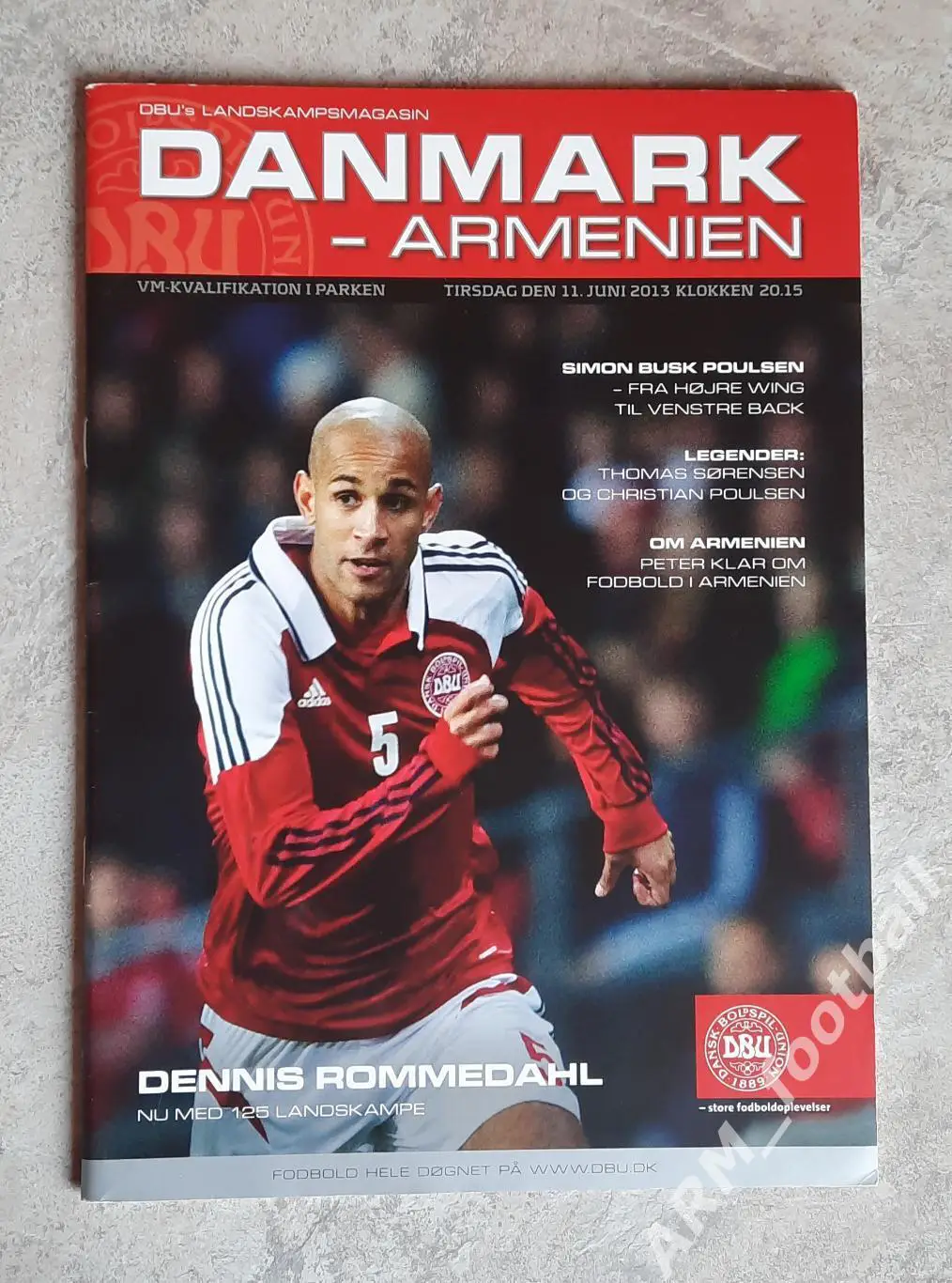 Дания – Армения. 11.06.2013