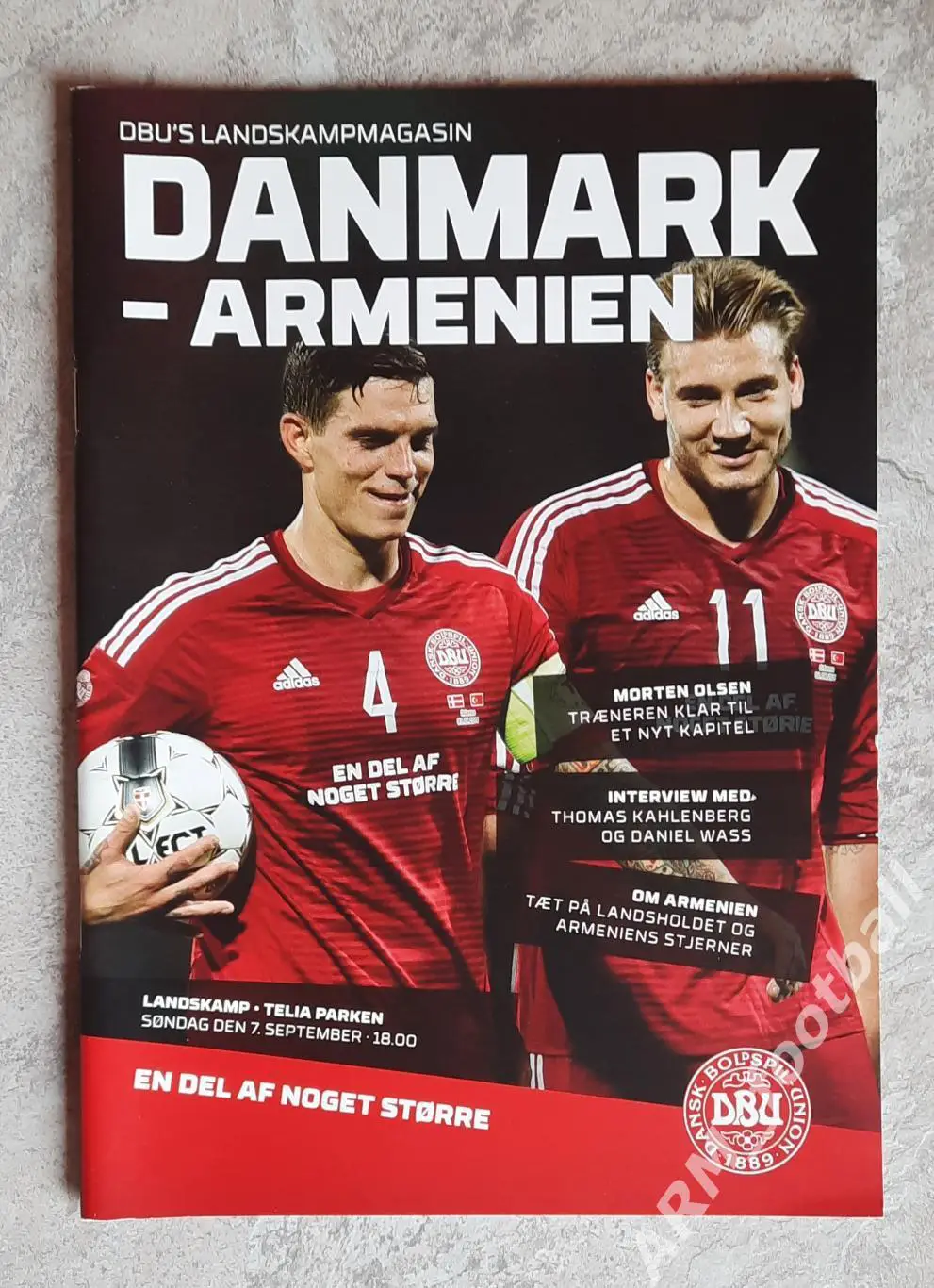 Дания – Армения. 07.09.2014