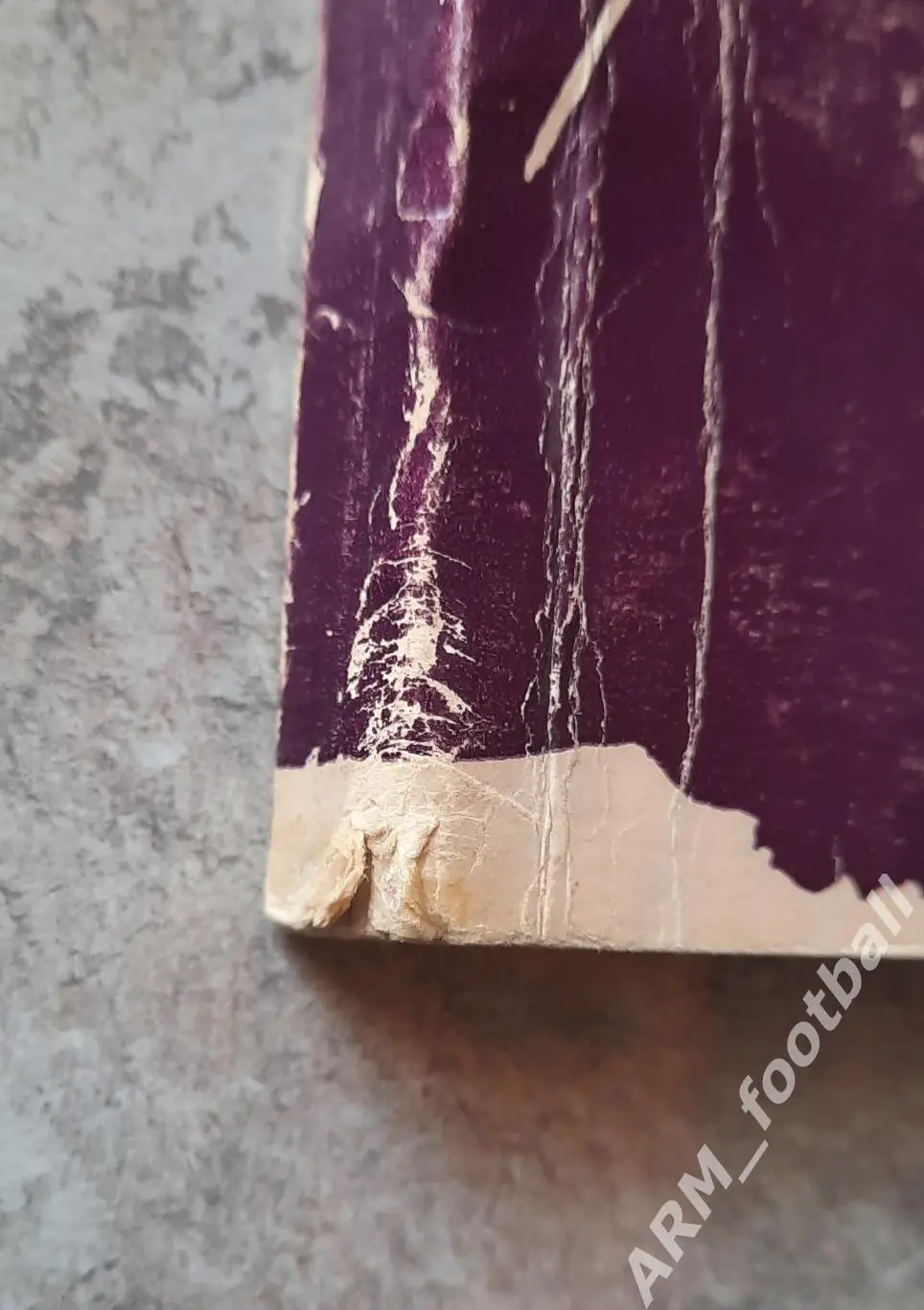 АРСЕН КАКОСЯН - В ночь после футбола (дневник болельщика) 2