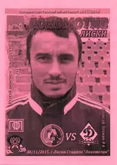 Локомотив Лиски - Динамо-Брянск. 2 дивизион 2015/2016. 8.11.2015. Тимашов.