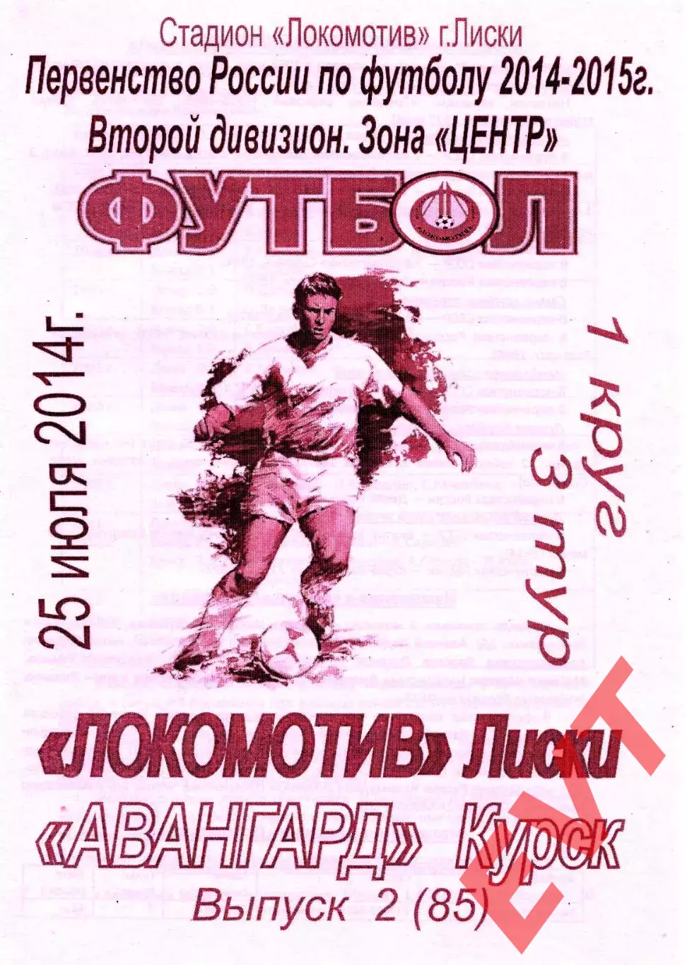 Локомотив Лиски - Авангард Курск. 2 дивизион 2014/2015. 25.07.2014. Тимашов.