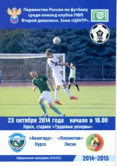 Авангард Курск - Локомотив Лиски. 2 дивизион 2014/2015. 23.10.2014.