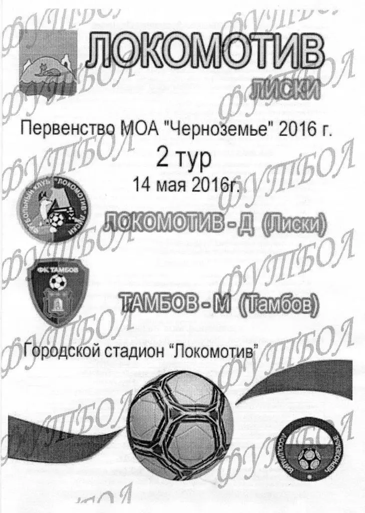 Локомотив-Д Лиски - Тамбов-М. 14.05.16. 2-й вид (Тимашов)