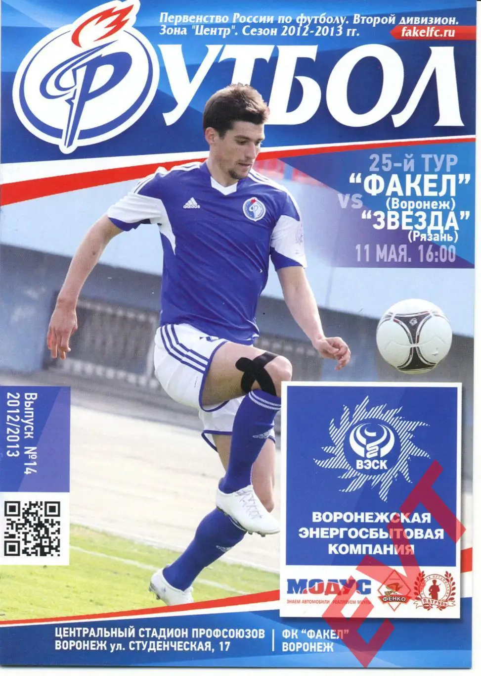 Факел Воронеж - Звезда Рязань. 2 дивизион. 2012/2013гг. 11.05.2013г.