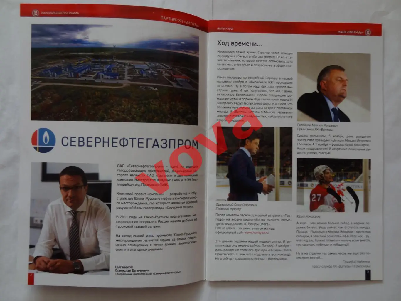 20.11.2015г.Чемпионат КХЛ.Витязь-Торпедо(Нижний Новгород)+22.11.Динамо(Минск) 1