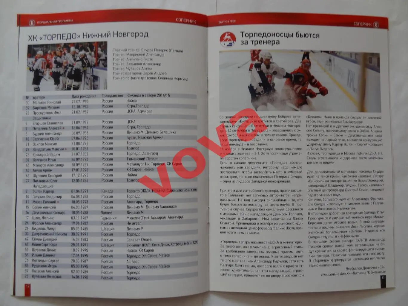 20.11.2015г.Чемпионат КХЛ.Витязь-Торпедо(Нижний Новгород)+22.11.Динамо(Минск) 6