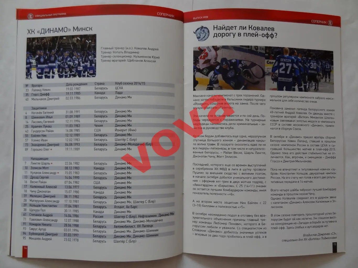 20.11.2015г.Чемпионат КХЛ.Витязь-Торпедо(Нижний Новгород)+22.11.Динамо(Минск) 7