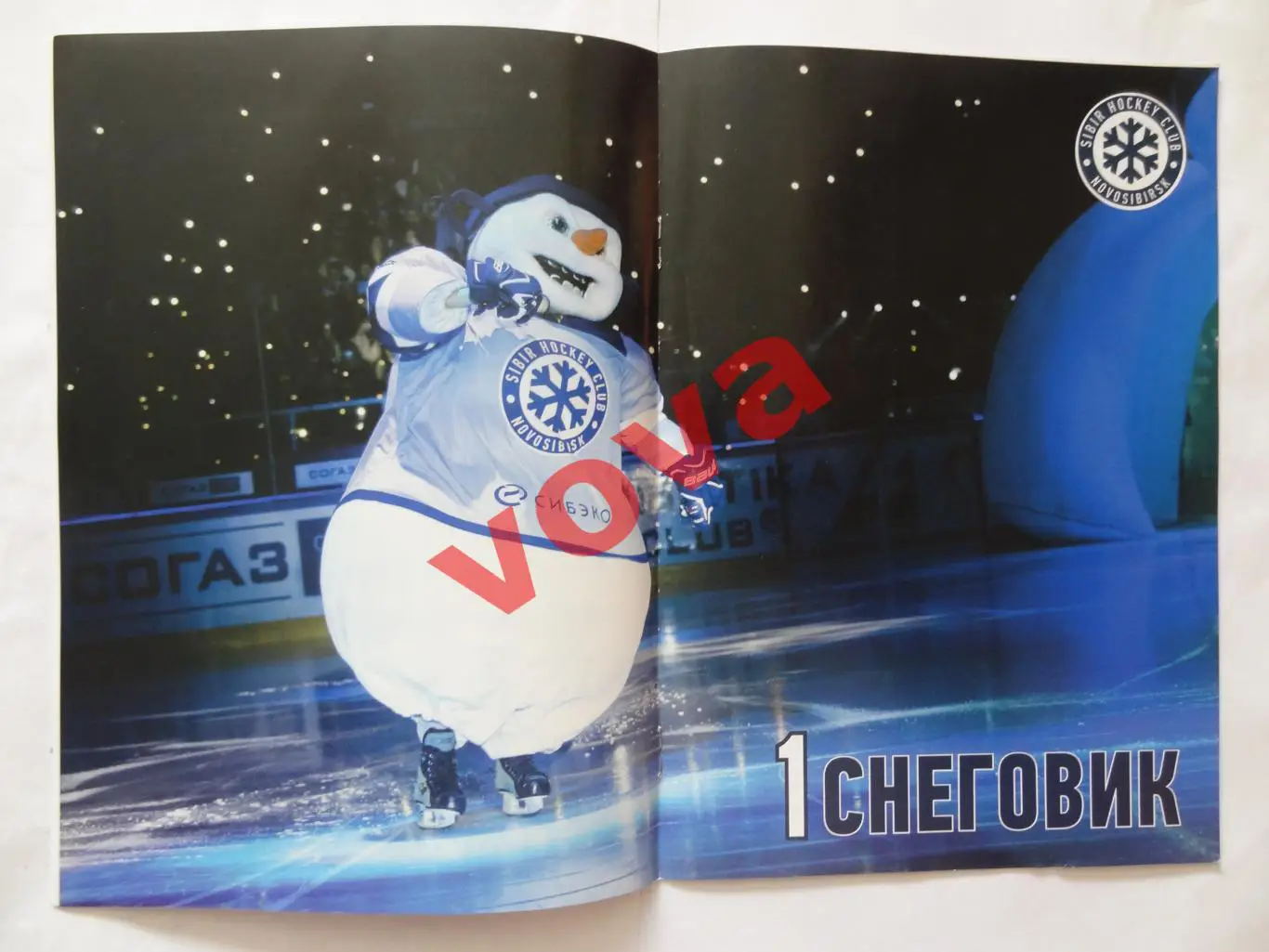 20.12.2017г.Сибирь(Новосибирск)-Югра+Салават Юлаев(Уфа)+Нефтехимик+Сочи+Ак Барс 6