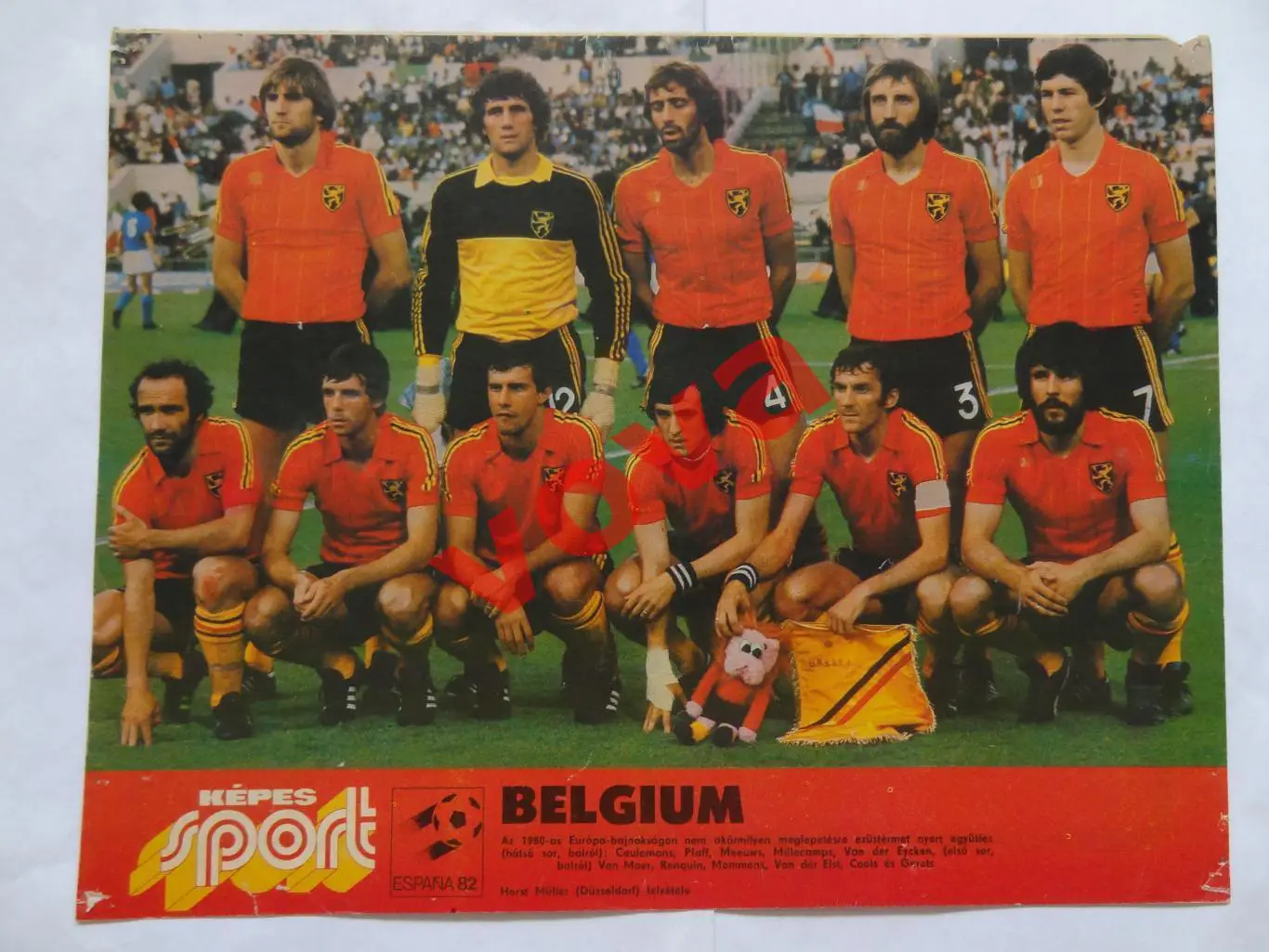 1982г.Сборная Бельгия