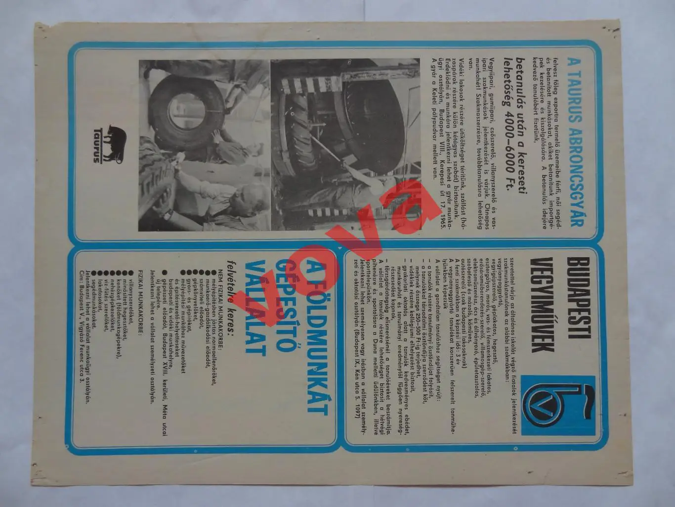 1982г.Сборная Бельгия 1