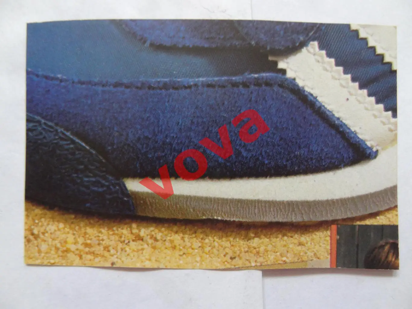 Сборная Польша 1