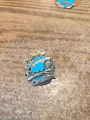 ЗНАК АВИАЦИЯ ГАРНИЗОН СТЕПЬ