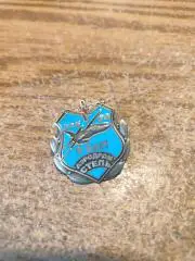 ЗНАК АЭРОДРОМ СТЕПЬ 6 БАП ЗАБАЙКАЛЬСКИЙ ВО