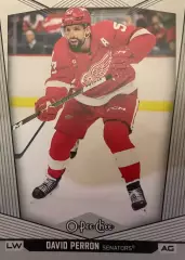 Хоккей. Карточка David Perron - Давид Перрон Detroit Red Wings - Детройт НХЛ/NHL