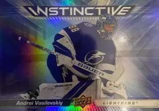 Карточка Андрей Василевский Тампа-Бэй Лайтнинг, Салават Юлаев Уфа NHL/НХЛ/КХЛ