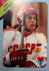 Хоккей. Карточка Валерий Зелепукин Россия, Химик Воскресенск, ЦСКА, СКА, Ак Барс