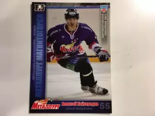 Карточка Алексей Кайгородов Металлург Магнитогорск КХЛ сезон 2010 - 2011 SeReal