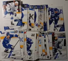 Хоккей. Карточки 2 сета Динамо Москва КХЛ сезон 2022/23,2023/24 SeReal