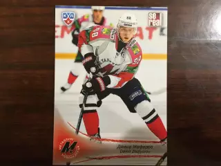 Хоккей. Карточка Дамир Жафяров Металлург Новокузнецк КХЛ сезон 2013-2014 SeReal