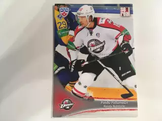 Хоккей. Карточка Рэнди Робитайл Донбасс Донецк КХЛ/KHL сезон 2013-2014 SeReal
