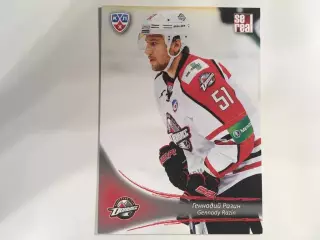 Хоккей. Карточка Геннадий Разин Донбасс Донецк КХЛ/KHL сезон 2013-2014 SeReal